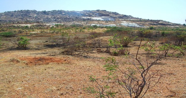 Brief: Rehabilitating Indian wasteland - a role for afforestation