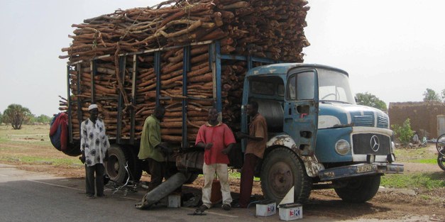 Brief: Making REDD+ work for the poor in Burkina Faso