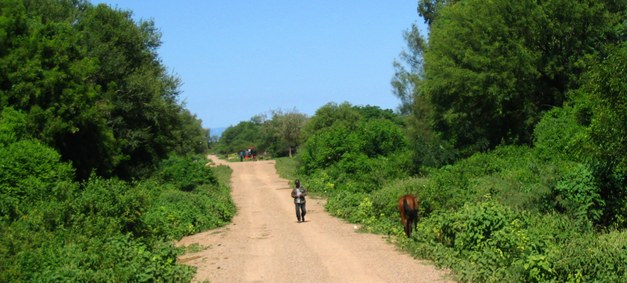 Communities and Carbon - Establishing a Community Forestry-REDD project in Cambodia