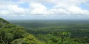Focali Country Brief - Guyana