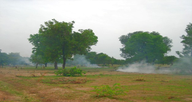 Prospects for REDD+ - Local Forest Management and Climate Change Mitigation in Burkina Faso