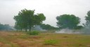 Prospects for REDD+ - Local Forest Management and Climate Change Mitigation in Burkina Faso