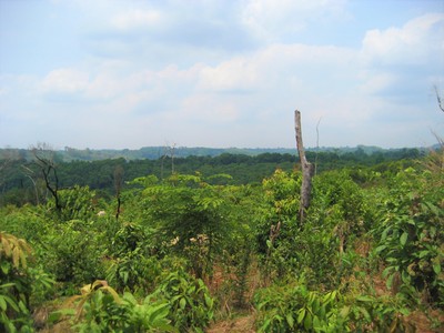 Kambodja landscape