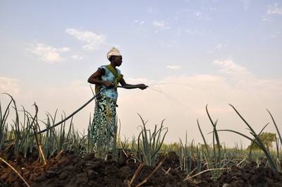 Irrigation project in Mozambique. Photo by Marcos Villalta for DFID via Flickr (CC BY-NC-ND 2.0)