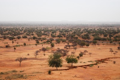 Landscape of Sahel, Africa. Photo by Daniel Tiveau for CIFOR via Flickr (CC BY-NC-ND 2.0)