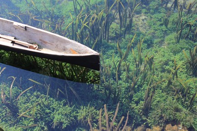 Green transparent water