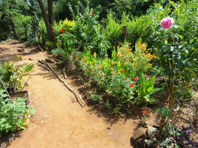 Sri Lankan homegarden. Photo by Eskil Mattsson