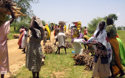 Women collecting firewood in Darfur. Women collecting firewood in Darfur.