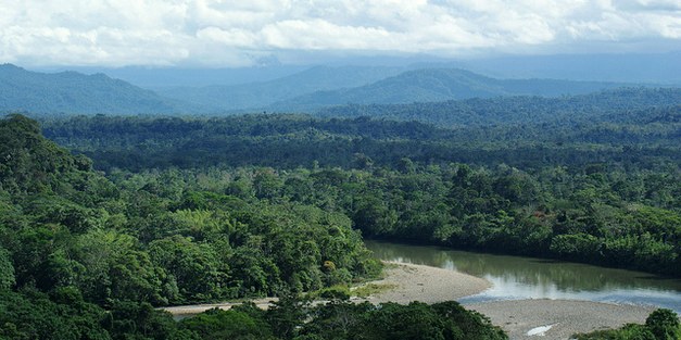 Agroforestry in the western Amazon – opportunities for new markets and threats from expanding natural resource extraction