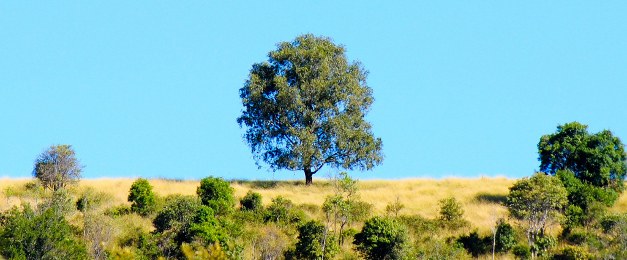 Climate Change Policy in Africa with Special Reference to Energy and Land Use