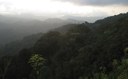 Climate Sensitivity of Tropical Trees Along an Elevation Gradient in Rwanda