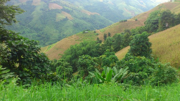 Farming + Forests = Food security: Integrated landscapes offer hope of sustainability in Asian uplands