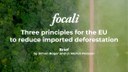 New Focali brief: Three principles for the EU to reduce imported deforestation