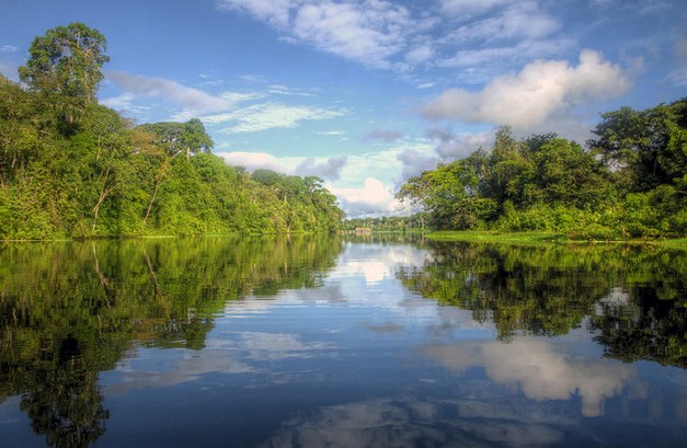 New Era in the Fight Against Deforestation in the Brazilian Amazon: Opportunities to Improve Policy Effectiveness