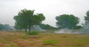 Prospects for REDD+ - Local Forest Management and Climate Change Mitigation in Burkina Faso