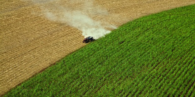 Sustainable bioproducts in Brazil: disputes and agreements on a common ground agenda for agriculture and nature protection