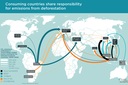 Trading Forests: Quantifying the Contribution of Global Commodity Markets to Emissions from Tropical Deforestation