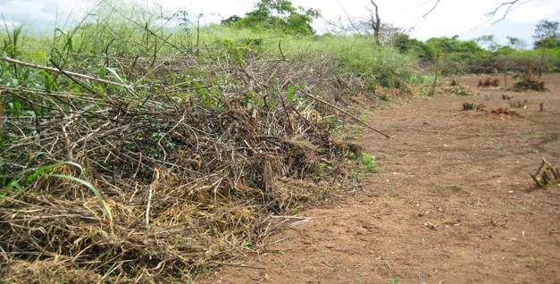 Student thesis: Payments for Environmental Services in the Campohermoso watershed