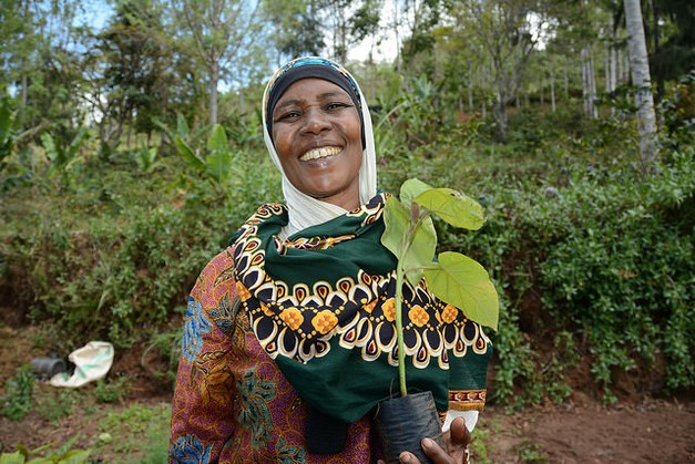 What are the possibilities for agroforestry to ensure food security?