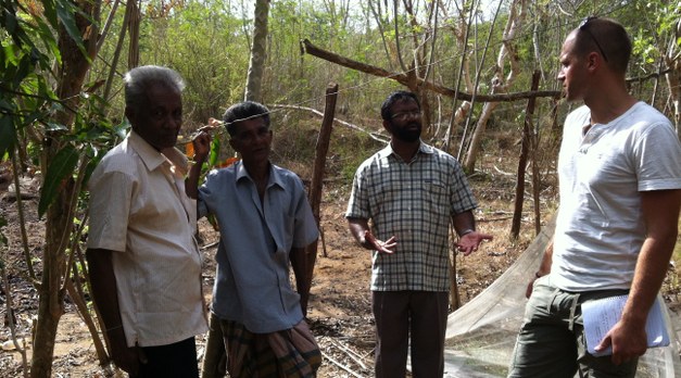 What is good about Sri Lankan homegardens with regards to food security? 