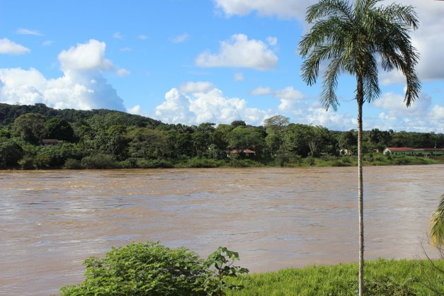 Deforestation in the void behind the demobilization of the FARC - Research blog from the Amazon, Colombia