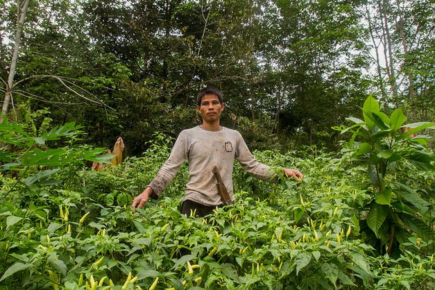 A recap from workshop on Forest Conservation, Agroforestry and Livelihoods