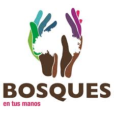 Programa Bosques