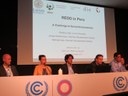 Side-event with Focali Researchers at the United Nations Climate Conference