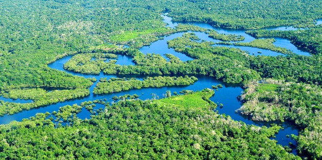 Buying conservation in tropical developing countries?