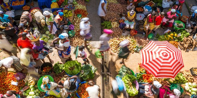 Call for abstracts: Agri4D 2021 – food systems for new realities 