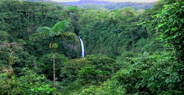 Focali at COP15