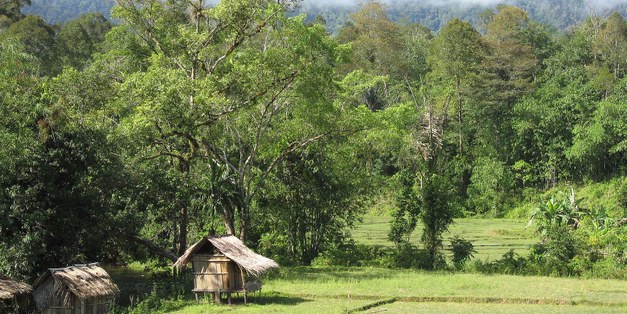 Focali-LUCSUS Workshop on Forest conservation, agroforestry and livelihoods