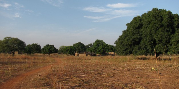 Focali seminar: Forests, Climate and Livelihoods in Burkina Faso