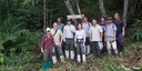 How to rebuild a rainforest after fire and logging - The IKEA funded ”Sow-a-Seed” project in Borneo