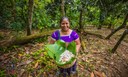 Impacts of the pandemic on forest communities and forest resource use  - What do we know, what do we need to know and how to find out?