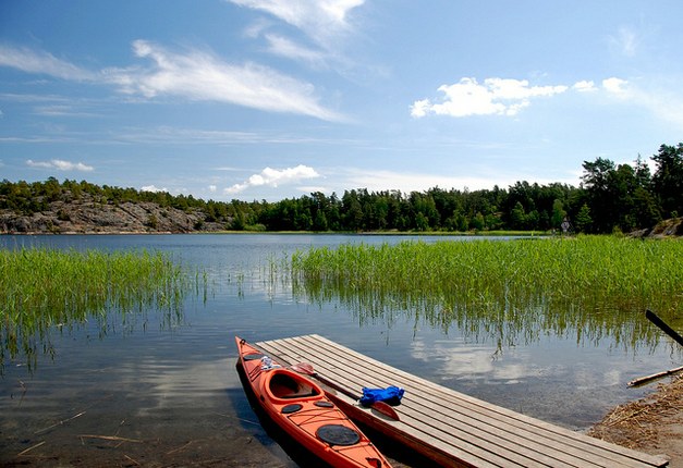 International Forests & Water Dialogue