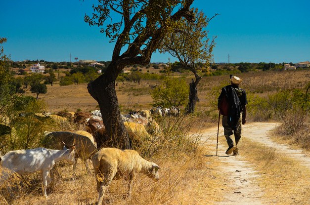 Landscape approaches for sustainable development, water and land resource management