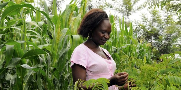 Launch of the new Sida-funded program: Agriculture for Food Security 2030