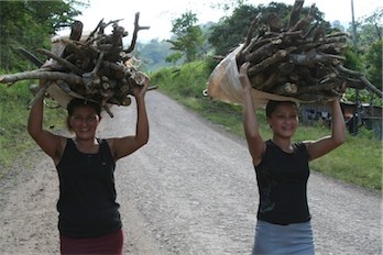 Seminar about forests and development