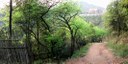 Forest devolution in China