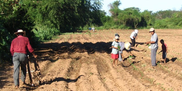 The program for the Agricultural Research for Development Conference is now available