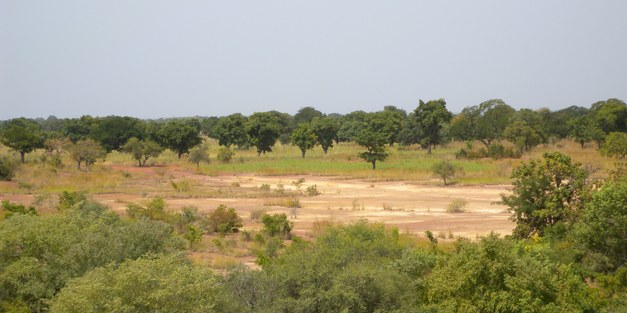 The REDD+ process in Burkina Faso