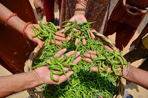 Towards a Global Research Program on Food Systems