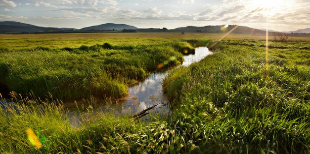 Vattnets betydelse i landskapsrestaurering