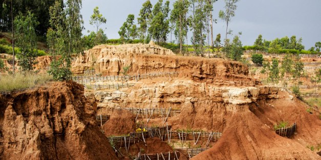 Webinarium: Hur kan vi använda vårt landskap i kampen mot klimatförändringarna?