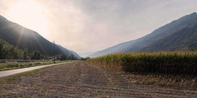 Program: Landscape management and design for food, bioenergy and the bioeconomy