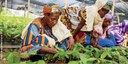 Call for abstracts! Agri4D 2017
