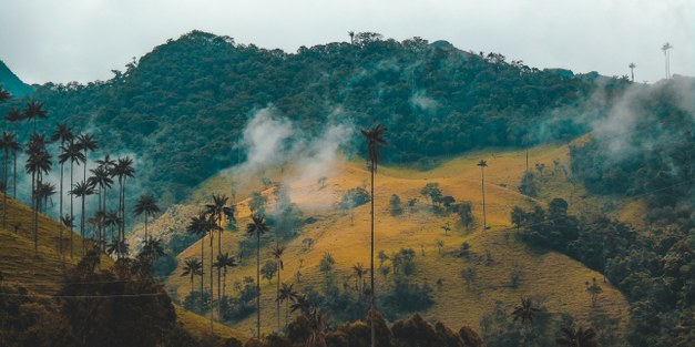 Colombia’s environment in the post-conflict transition: New set-backs by the global pandemic 