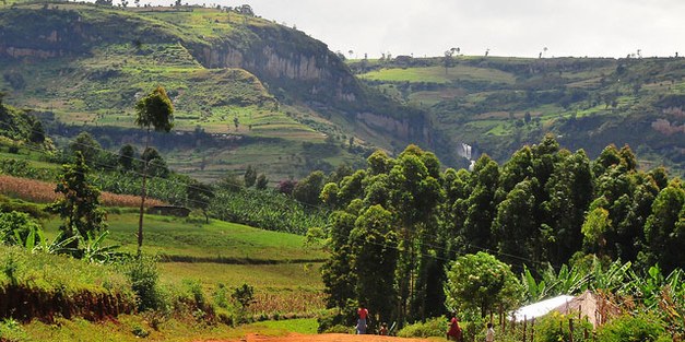 Course: How to enhance capacity to transform science into policy and practice in the field of food security