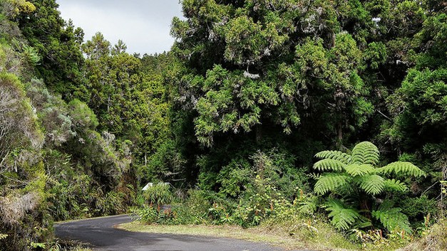 Apply for a PhD-position in land-use change, primarily tropical deforestation, and its causes and consequences.